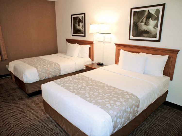 Quality Inn and Suites RDU , NC 27560 near Raleigh-durham International Airport View Point 2